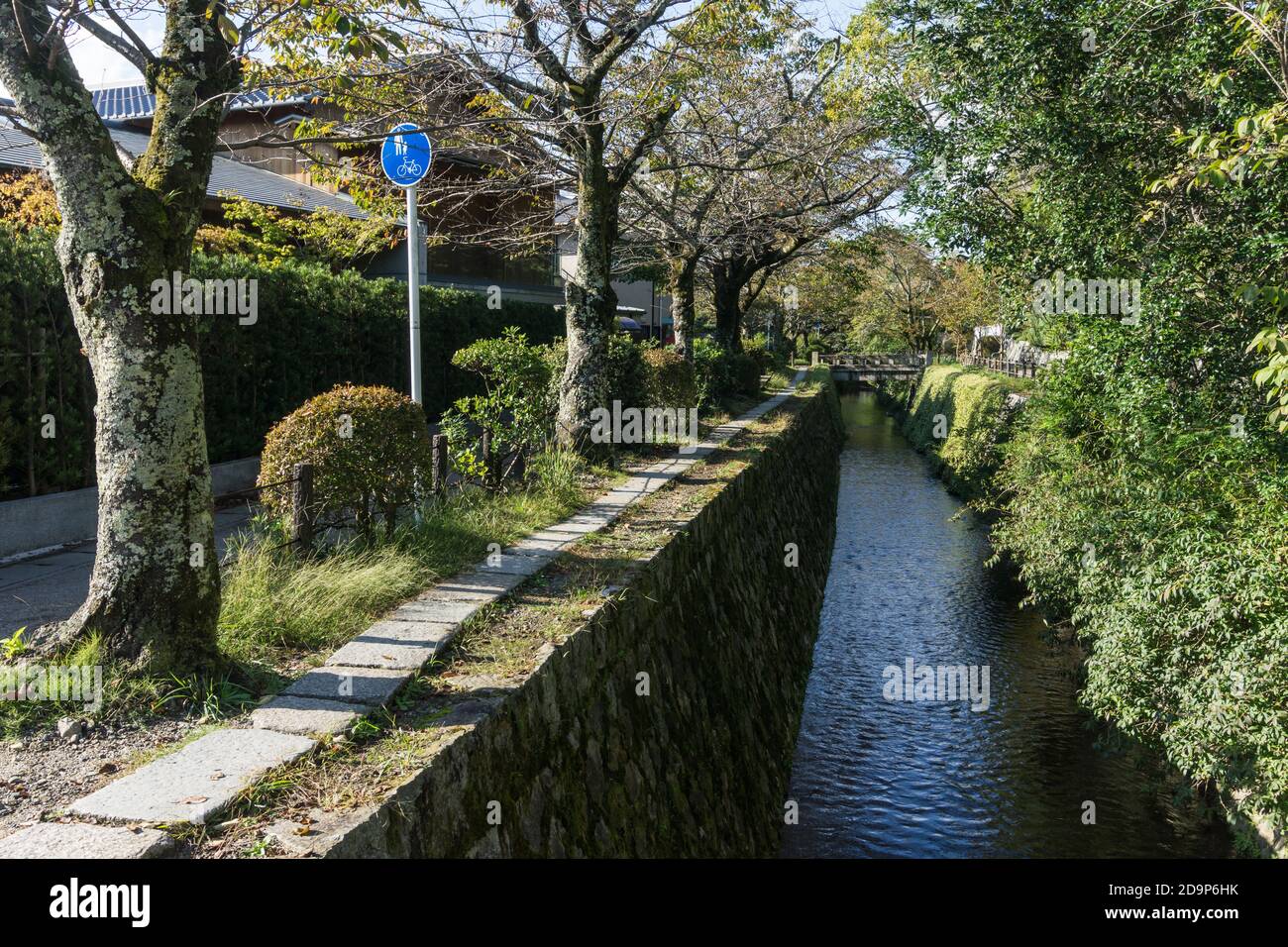 Vista del sentiero dei Filosofi (哲学の道, Tetsugaku no michi), un percorso in pietra lungo un canale attraverso la parte settentrionale del quartiere Higashiyama di Kyoto. Foto Stock