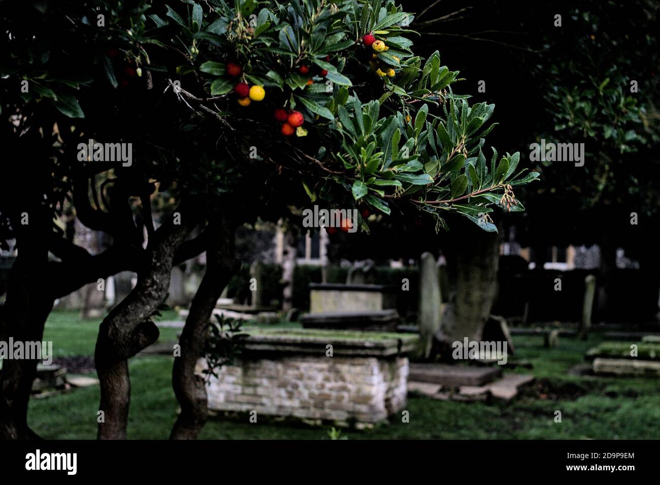 Cimitero in autunno Foto Stock