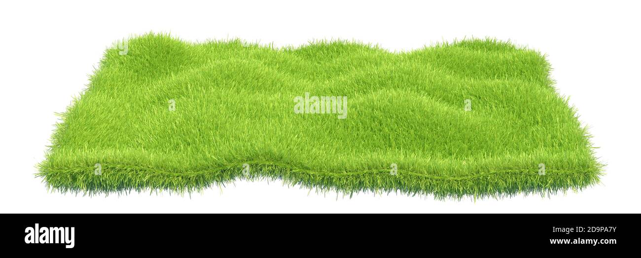 Primo piano di tappeto in erba isolato su sfondo bianco con spazio per la copia. rendering 3d Foto Stock