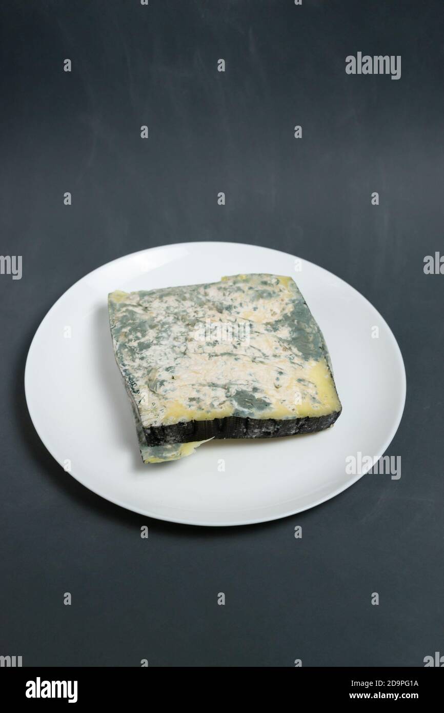 Diversi pezzi di formaggio guastato su un piatto bianco su sfondo grigio. Concetto di spreco di cibo. Orientamento verticale. Spazio di copia. Foto Stock
