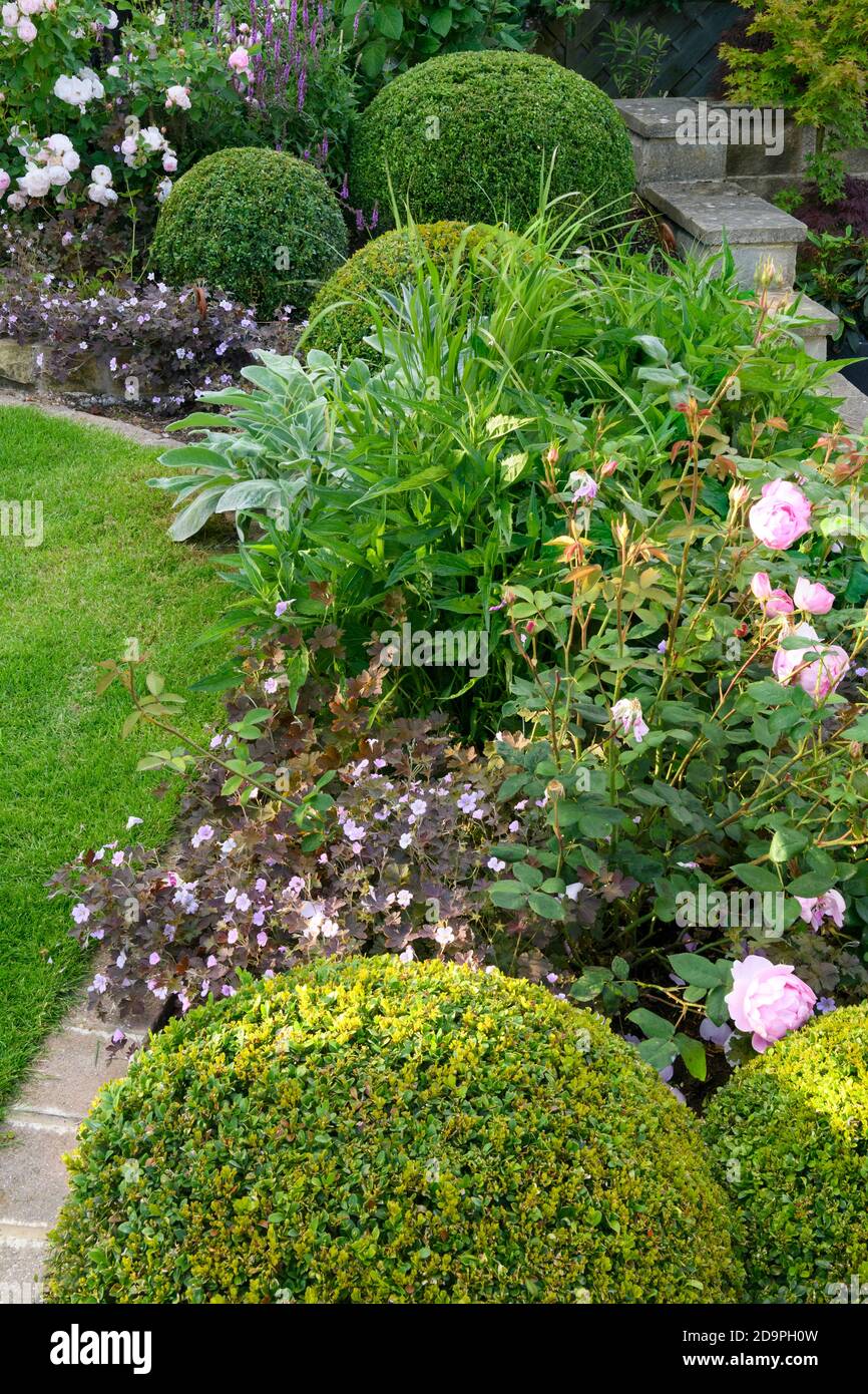 Giardino privato paesaggistico e soleggiato (design contemporaneo, fiori estivi, piante di confine, arbusti, palloni, parete bassa, recinzione, prato) - Yorkshire, Inghilterra UK Foto Stock