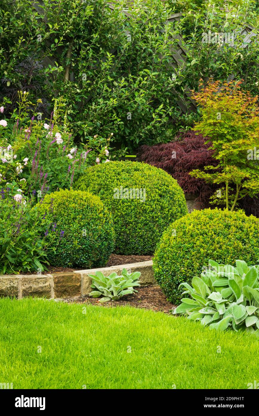 Angolo giardino privato paesaggistico (design contemporaneo, fiori estivi, confine definito, piante, arbusti, palloni, parete, prato) - Yorkshire, Inghilterra UK. Foto Stock
