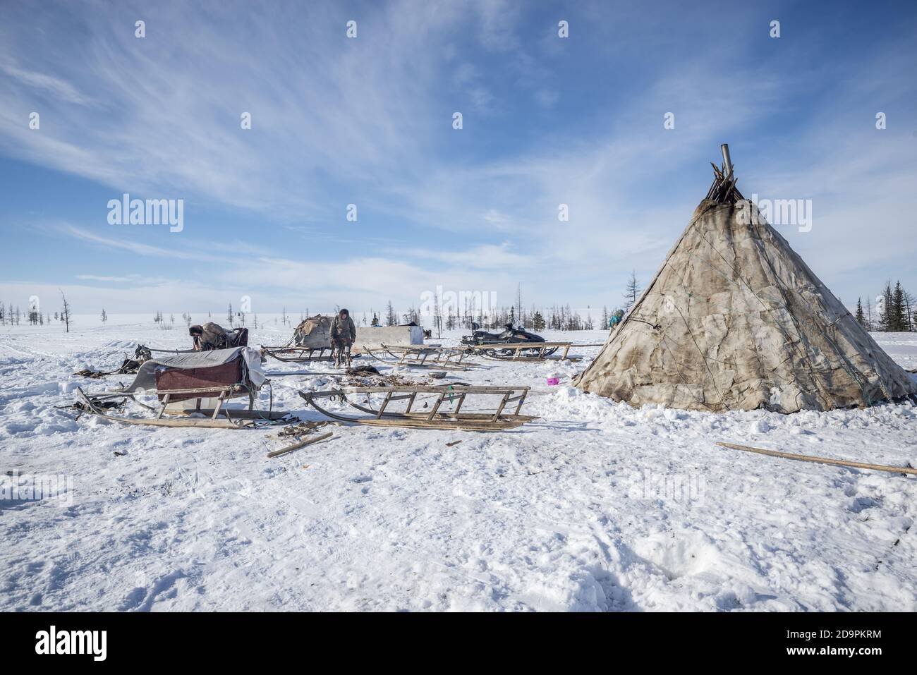 Una famiglia Nenets smantellare una tenda tradizionale per la migrazione, Yamalo-Nenets Autonomous Okrug, Russia Foto Stock