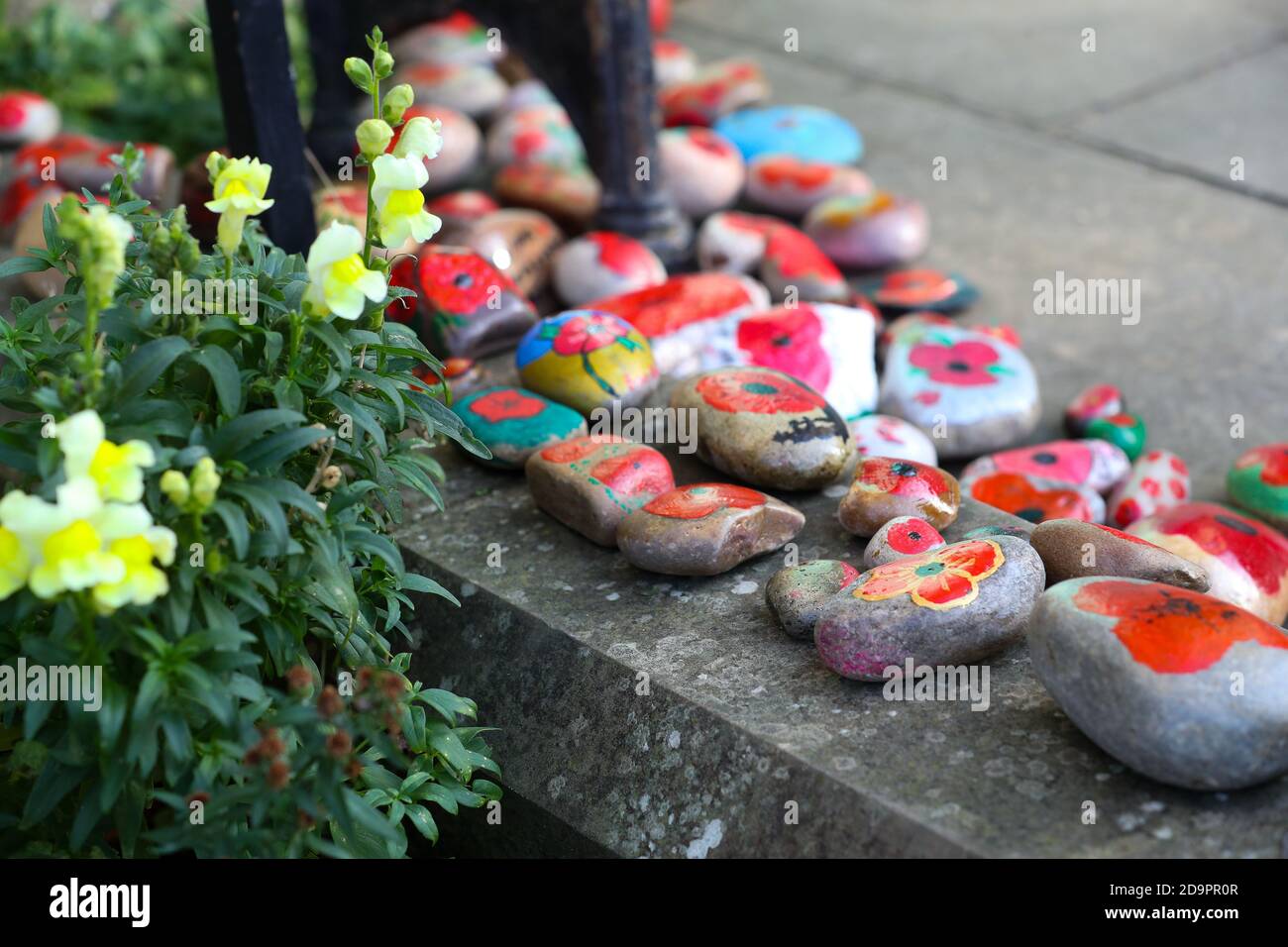 Londra, Regno Unito. 7 novembre 2020 la congregazione della Santa Trinità C della Chiesa di e, Twickenham Green, West London, commemorano la Giornata della memoria dipingendo bei papaveri sulle pietre e lasciandoli fuori dalla porta della Chiesa e sul loro memoriale di guerra. Andrew Fosker / Alamy Live News Foto Stock