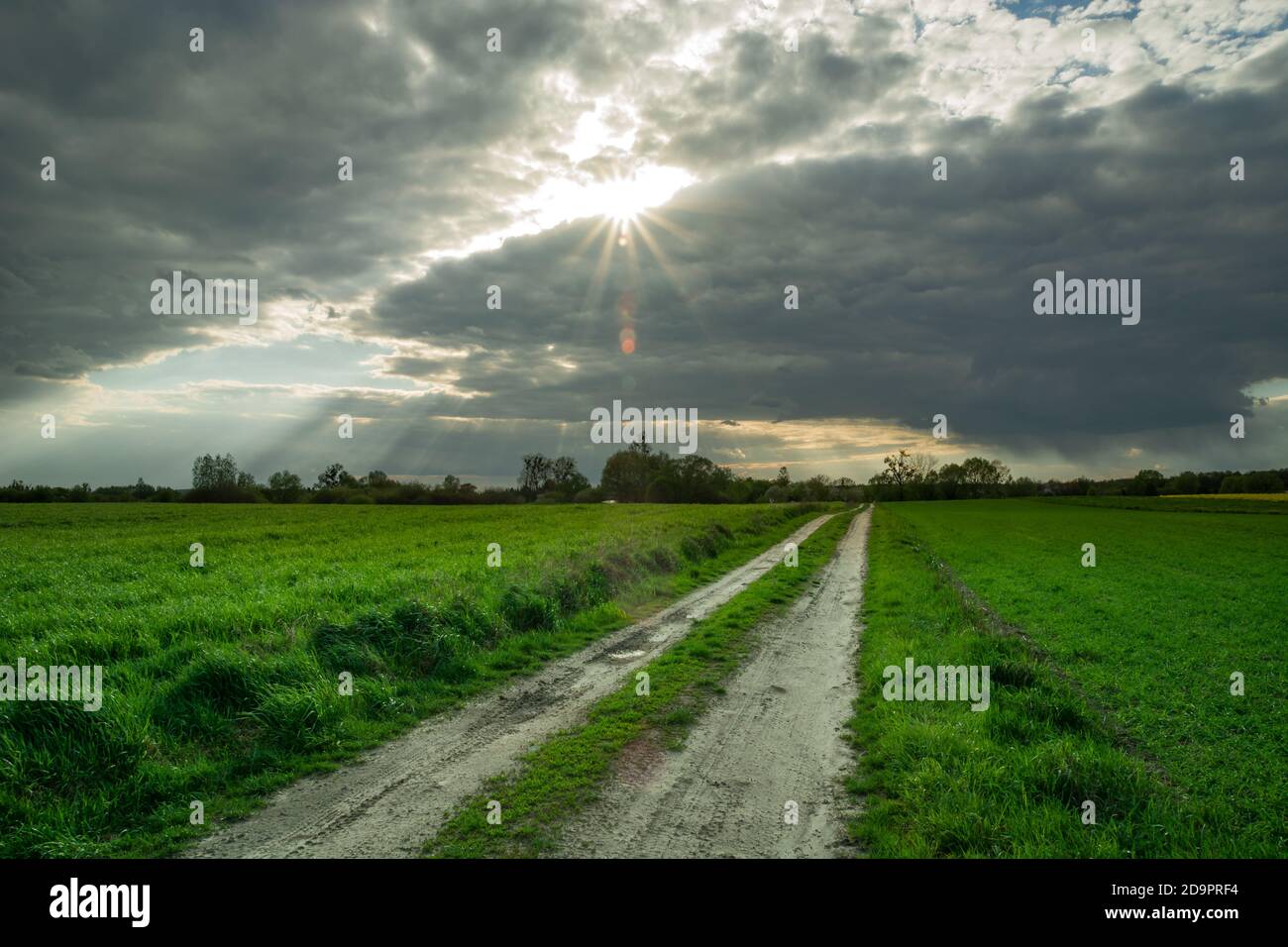 Strada sterrata attraverso campi verdi e sole in nuvole grigie Foto Stock
