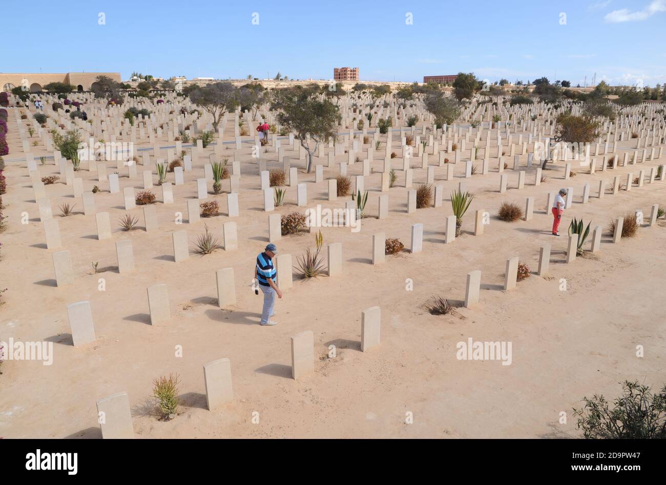 Cimitero di guerra - El Alamein, Egitto Foto Stock