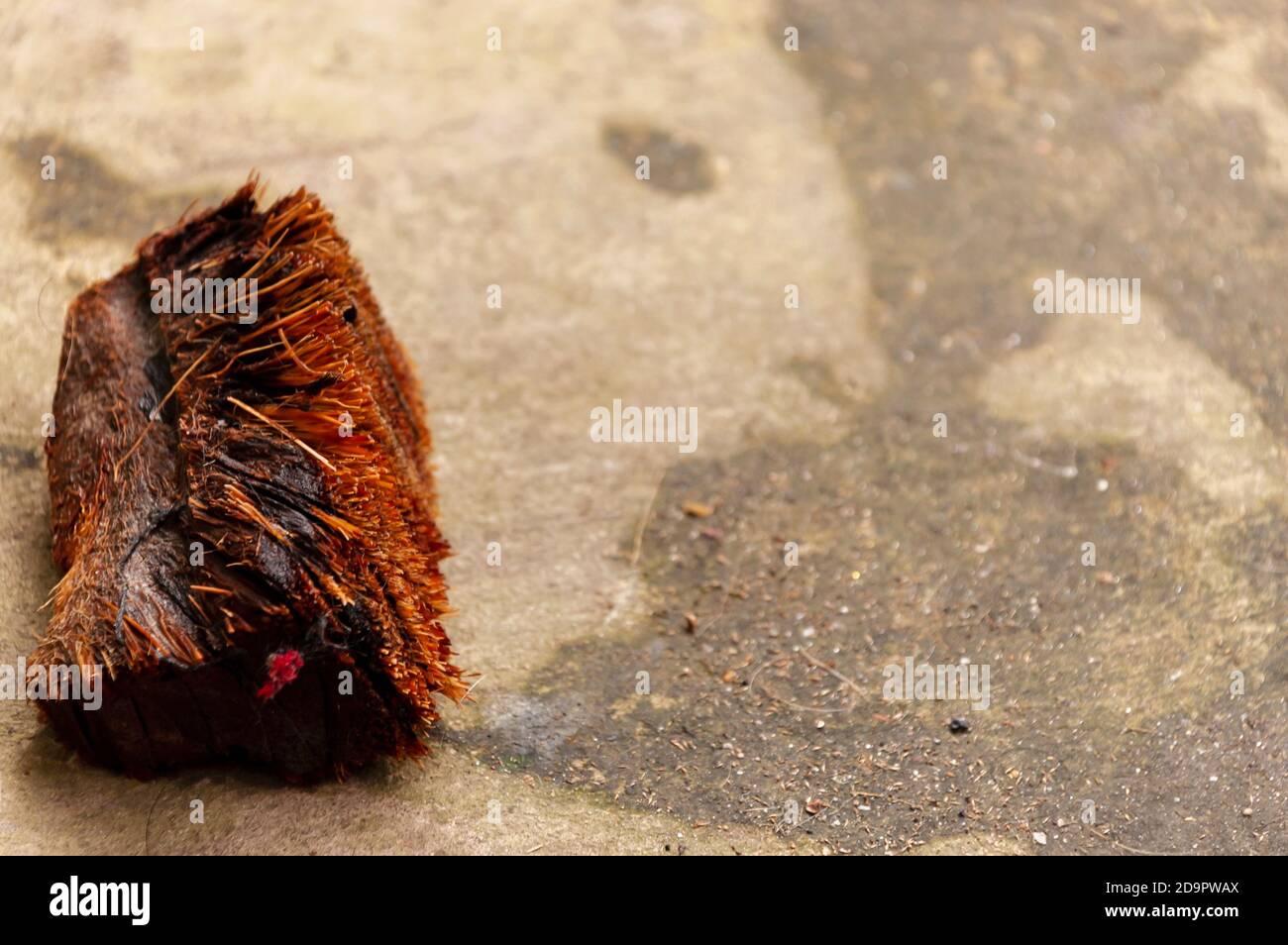 Un primo piano di una spazzola di cocco utilizzata per la pulizia in India e nei paesi dell'Asia meridionale. Foto Stock