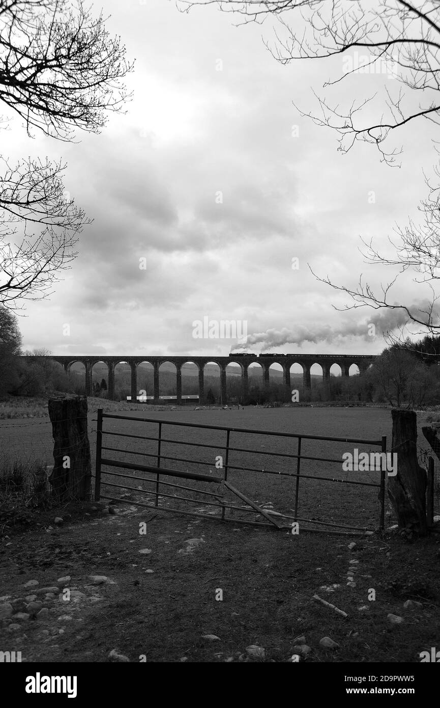 '44871' conduce '45407' attraverso il Viadotto di Cynghordy con un treno diretto a nord. Foto Stock