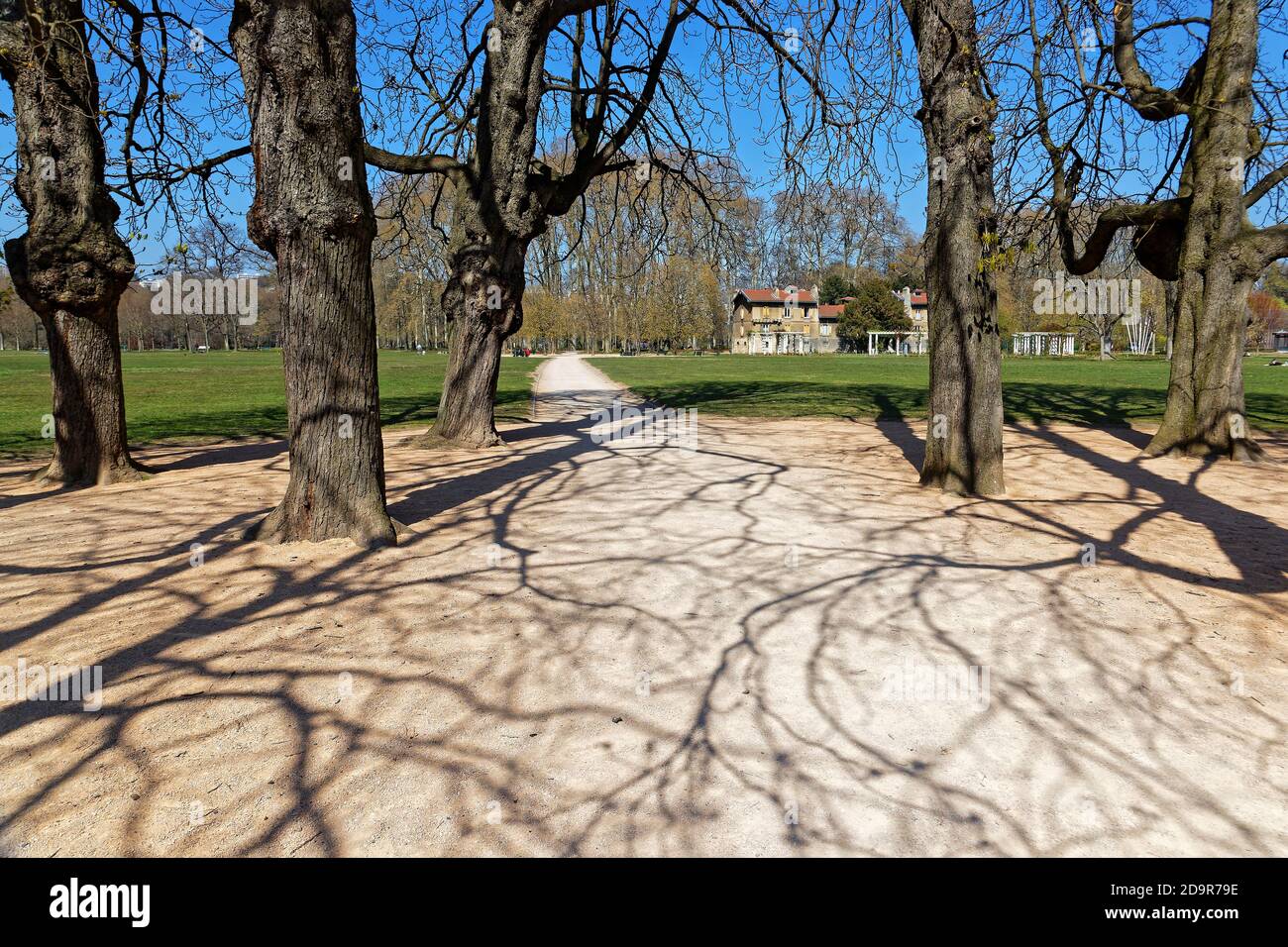 LIONE, FRANCIA, 31 marzo 2019 : Parc de la Tete d'Or. Il più grande e famoso parco di Lione è stato progettato sulla base del modello del giardino inglese. inco. IT Foto Stock