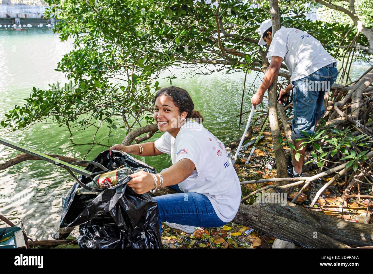 Miami Beach Florida, teen teenager Job Corps volontari, Black African ragazza riempimento sacco spazzatura, pulizia pulizia Tatum Waterway spazzatura Foto Stock