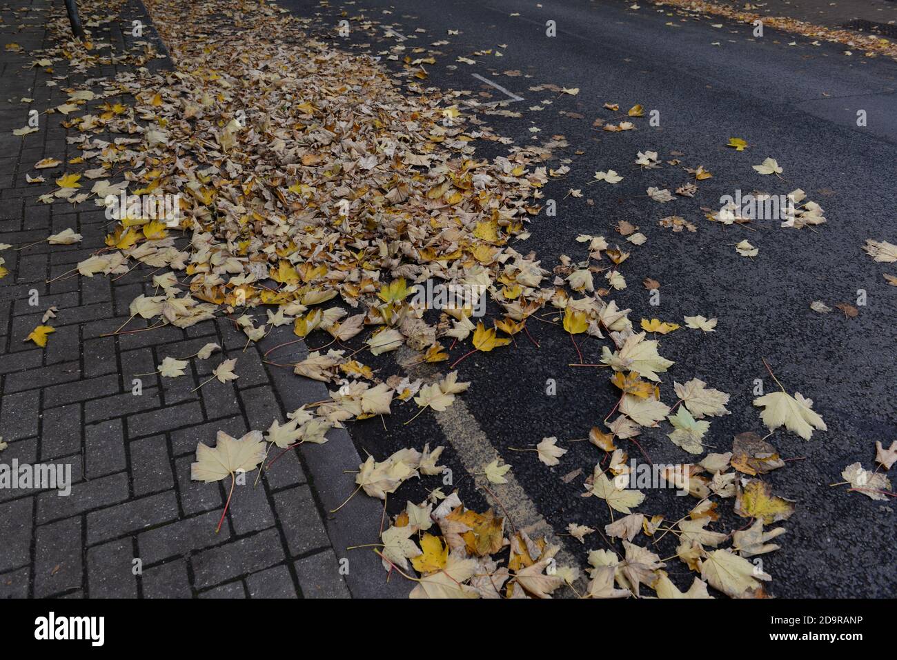 Foglie d'autunno sparse giacciono pacificamente su una strada e sul marciapiede Foto Stock