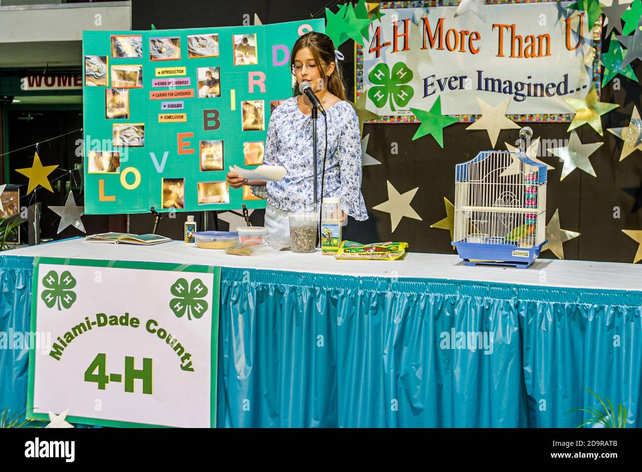 Miami Florida, Dade County Fair & Exposition, evento annuale programmi per la gioventù mostre 4-H Club, concorso pubblico di lingua teen teenager studentessa makin Foto Stock