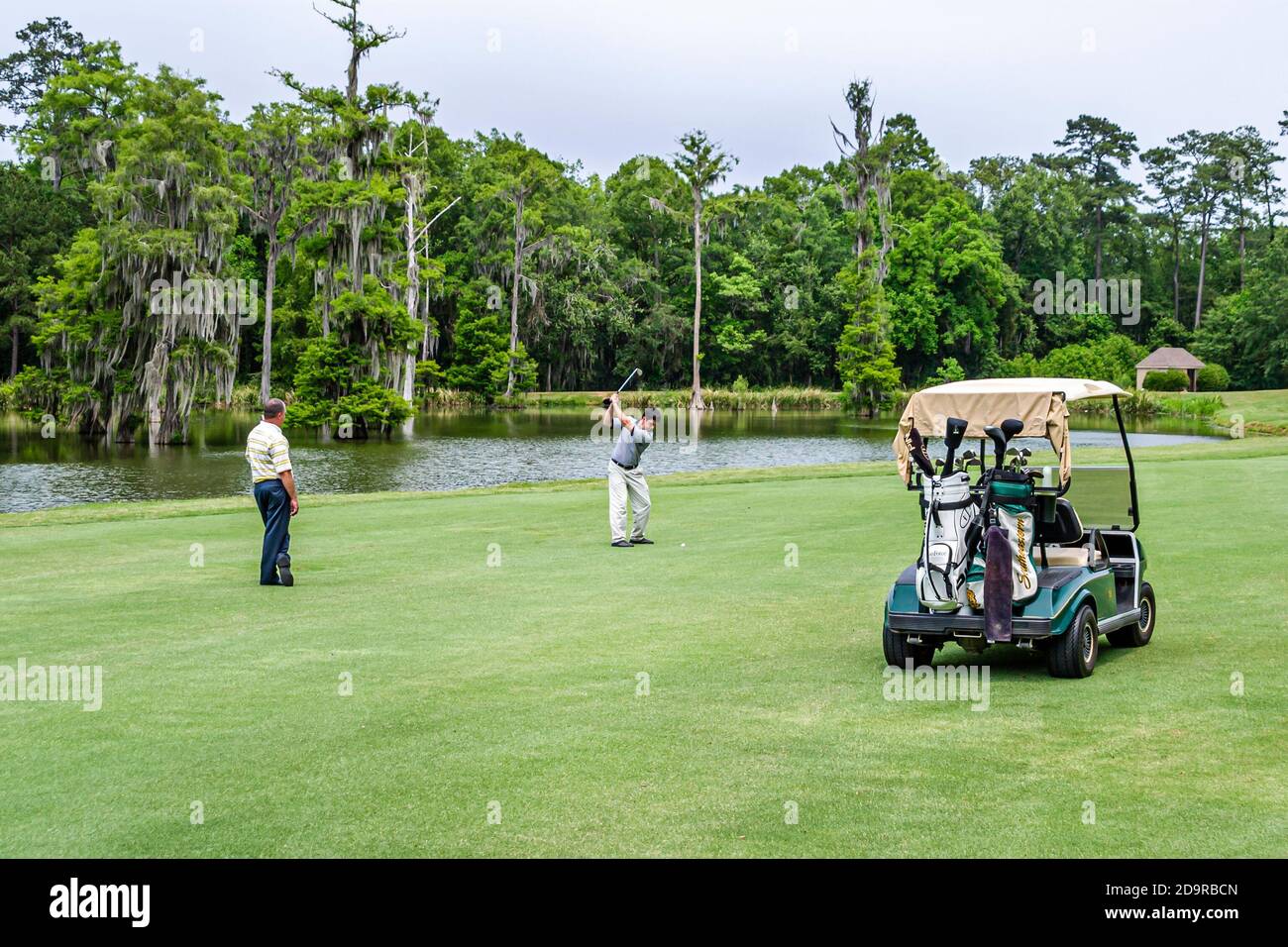 Louisiana Northshore,Mandeville,Beau Chene Country Club campo da golf i golfisti giocano al carrello, Foto Stock