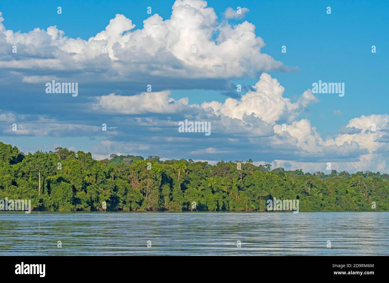 Nuvole di pioggia che si radunano sulla foresta pluviale vicino ad alta Floresta, Brasile Foto Stock