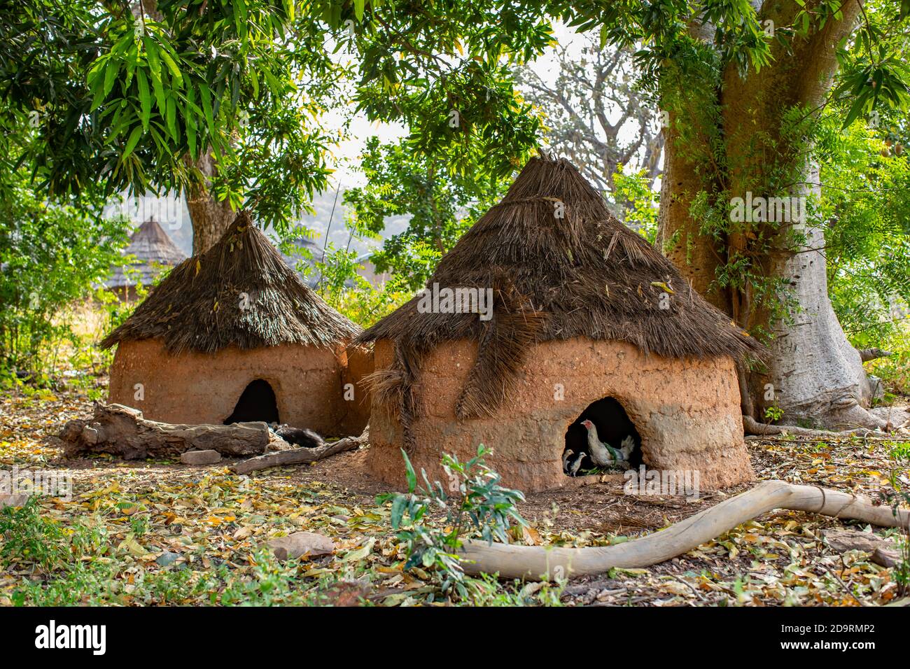 Case di gallina nel villaggio della tribù di Samba Foto Stock