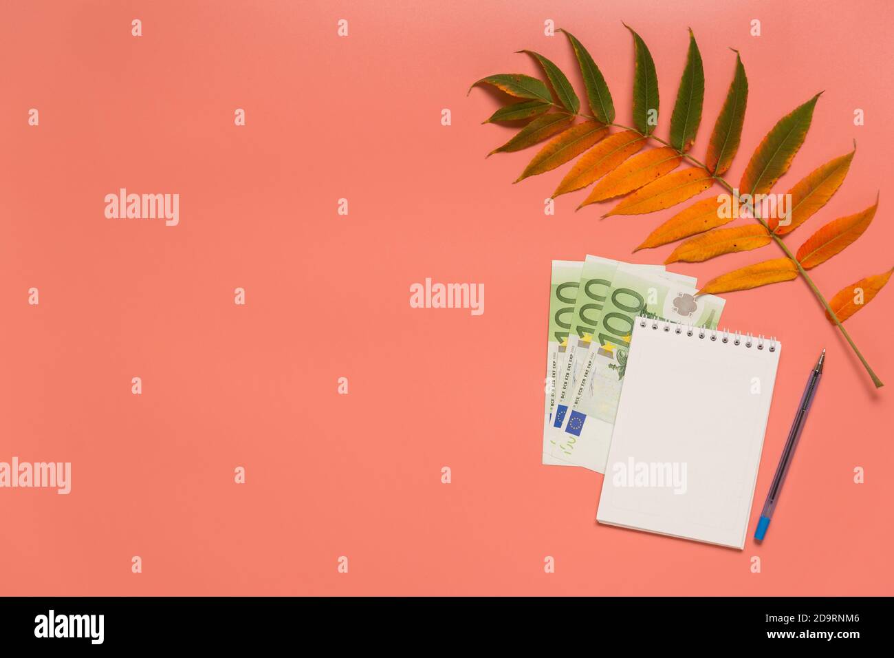 Una pagina vuota del blocco note, una foglia gialla d'autunno e banconote in euro su sfondo rosa. Nota, sinossi, ricetta, saldo, spese, reddito, bilancio. Copia Foto Stock