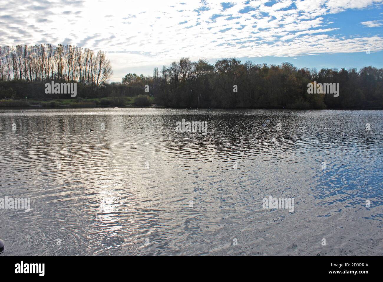 Splendido scenario del parco acquatico Chorlton in Inghilterra, lago grande calmo, nuvole e cespugli e alberi sulle rive Foto Stock