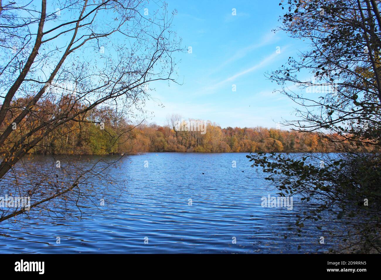 Splendido scenario del parco acquatico Chorlton in Inghilterra, grande lago blu calmo, cielo blu, alberi d'autunno sulle rive Foto Stock