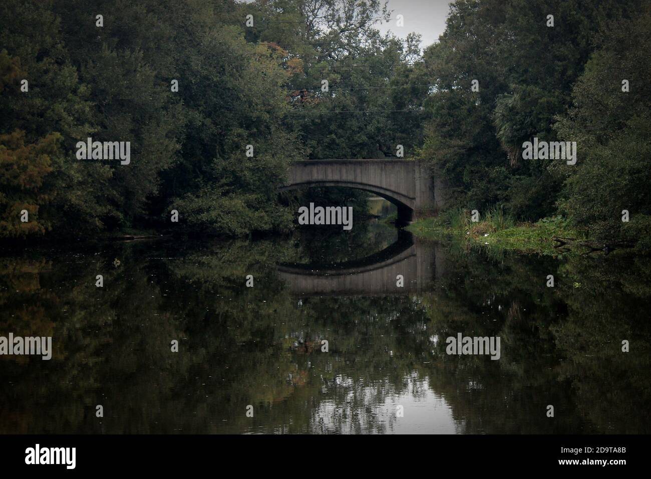 Questo vecchio ponte di cemento grigio colorato con agenti atmosferici si riflette nella calma acqua scura sottostante circondata da una lussureggiante vegetazione. Foto Stock