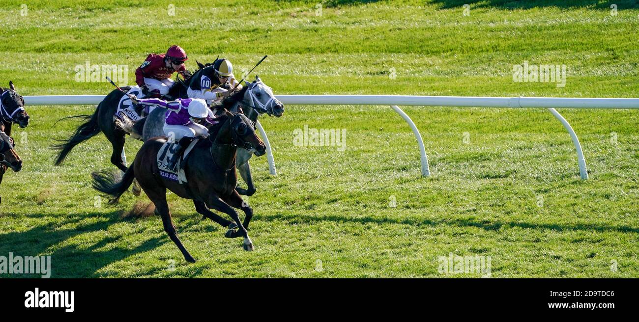 Lexington, Kentucky, Stati Uniti. 7 Nov 2020. 7 novembre 2020 : Order of Australia, guidato da Pierre-Charles Boudot, vince il FanDuel Mile presentato dal PDJF il sabato del Campionato Breeders' Cup al Keeneland Race Course di Lexington, Kentucky, il 7 novembre 2020. John Voorhees/Breeders' Cup/Eclipse Sportswire/CSM/Alamy Live News Foto Stock