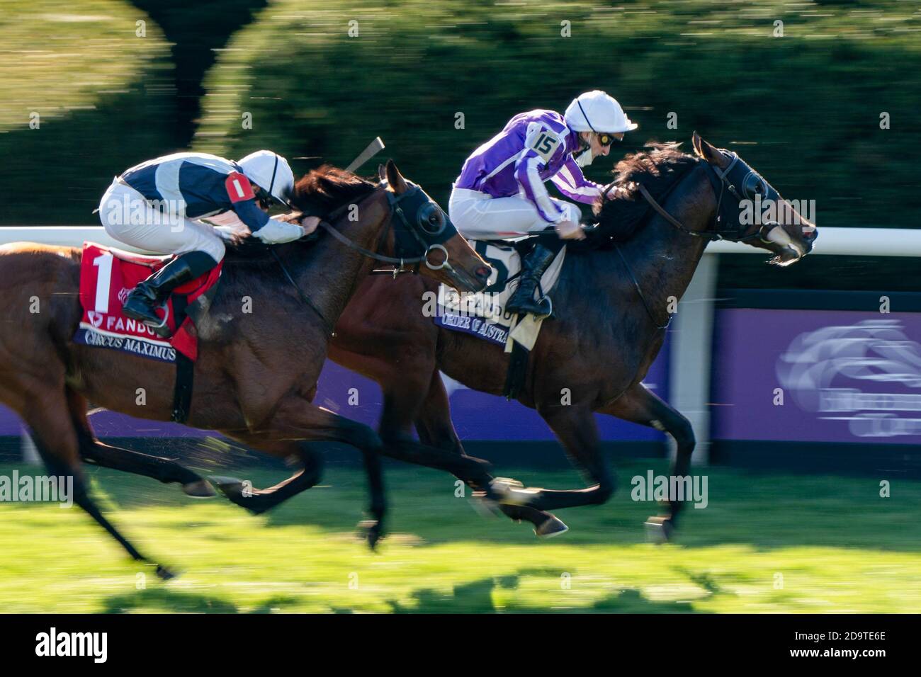 Lexington, Kentucky, Stati Uniti. 7 Nov 2020. 7 novembre 2020 : Order of Australia, guidato da Pierre-Charles Boudot, vince il FanDuel Mile presentato dal PDJF il sabato del Campionato Breeders' Cup al Keeneland Race Course di Lexington, Kentucky, il 7 novembre 2020. Scott Serio/Eclipse Sportswire/Breeders' Cup/CSM/Alamy Live News Foto Stock
