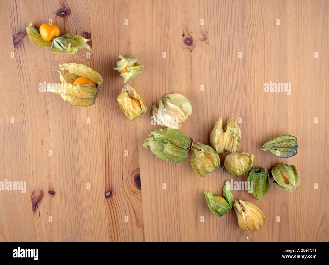 Frutti di Physalis (mirtillo inca, mirtillo di frutti di mare, bacche di poha, bacche dorate, amarene) Foto Stock