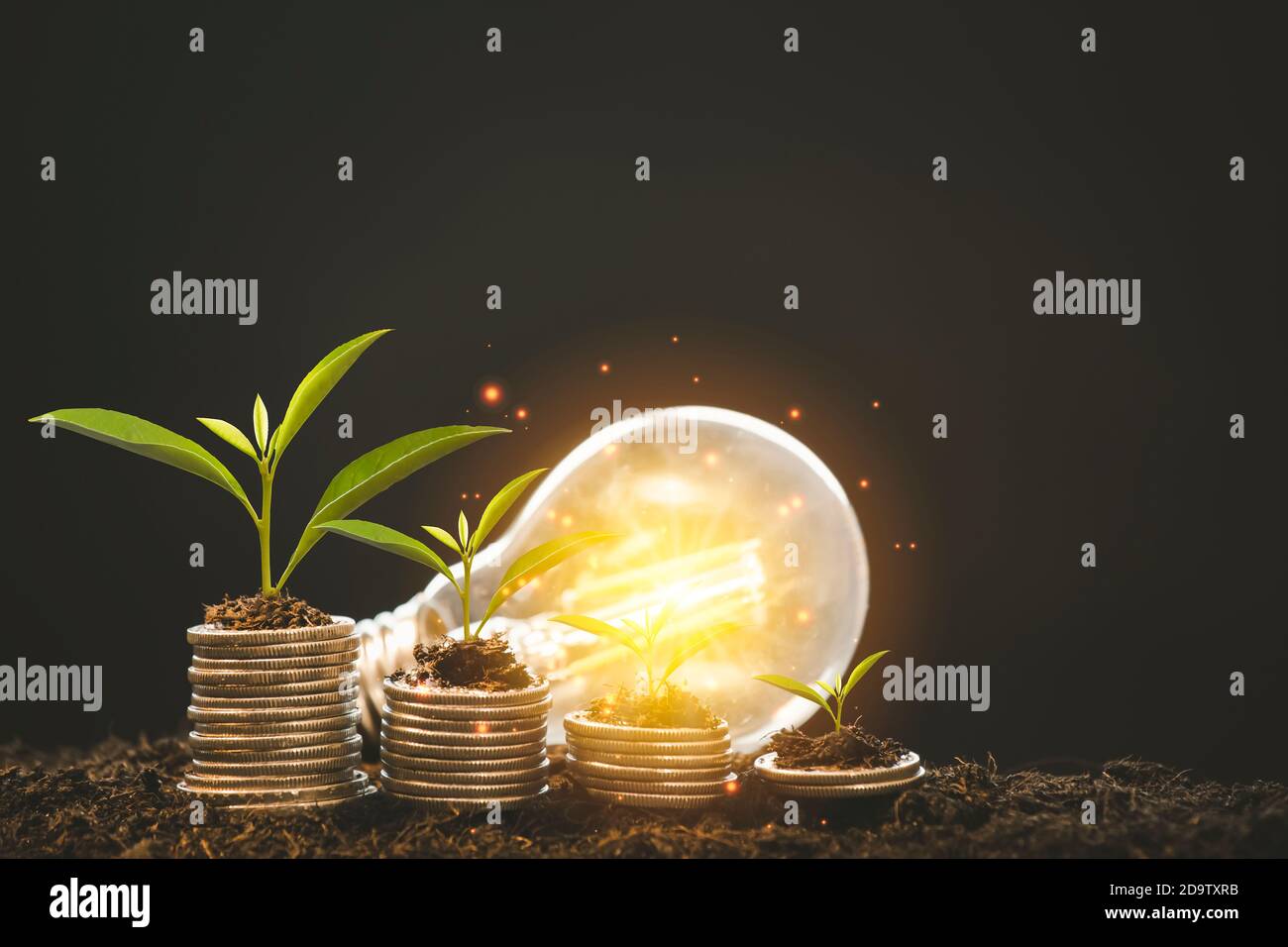 Growing Money Plant su lampadina a risparmio energetico con albero crescente su pile di monete su sfondo Bokeh, monete business Finanza e Conce di investimento Foto Stock