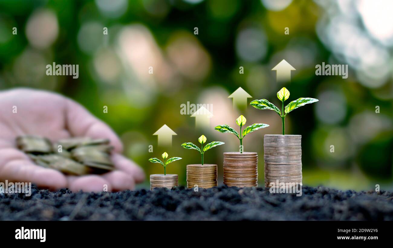 Piccoli alberi verdi che crescono su mucchi di monete tra cui frecce in aumento, idee per risparmiare denaro e crescere soldi. Foto Stock