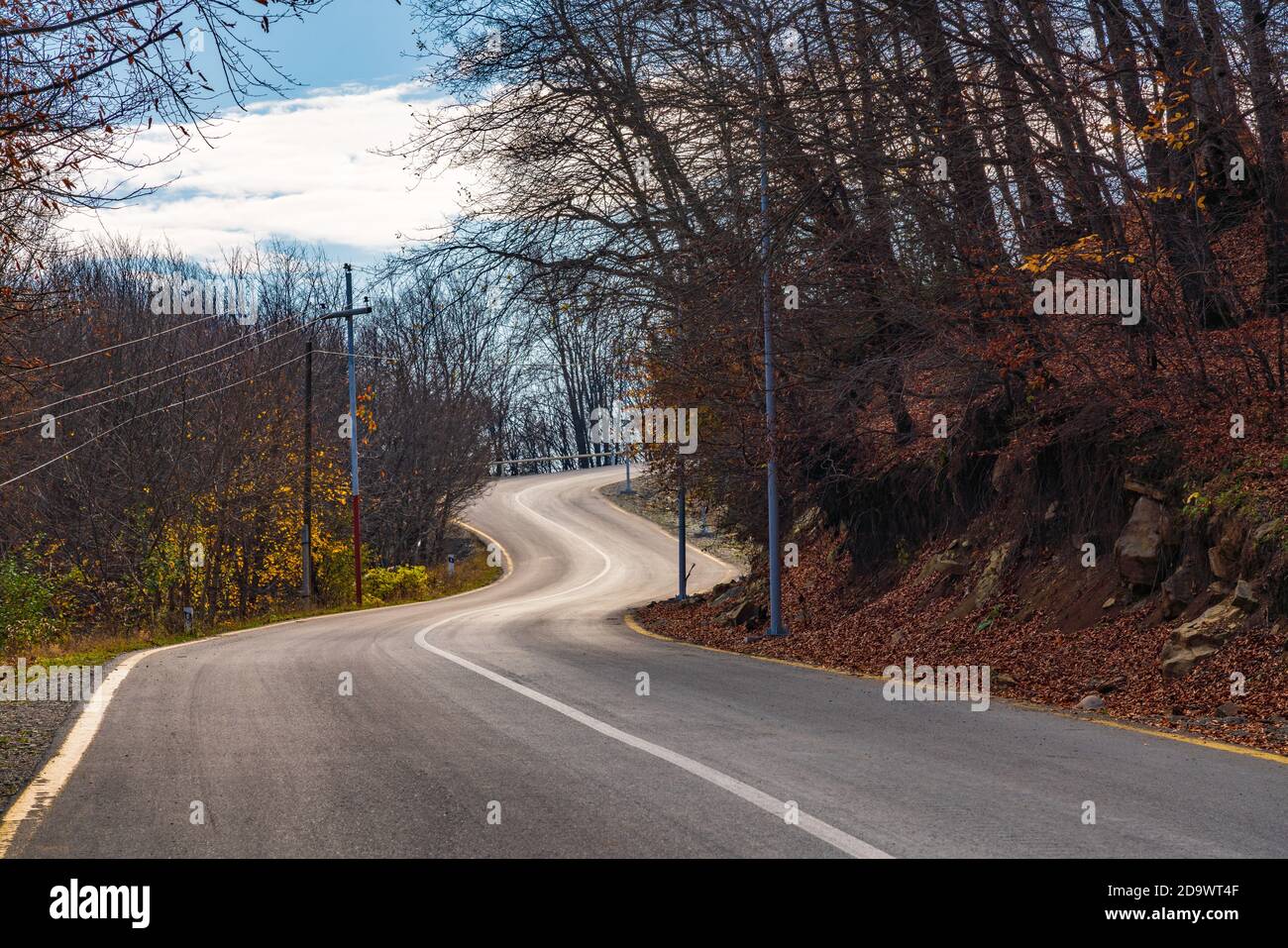 Strada tortuosa nella foresta di montagna d'autunno Foto Stock