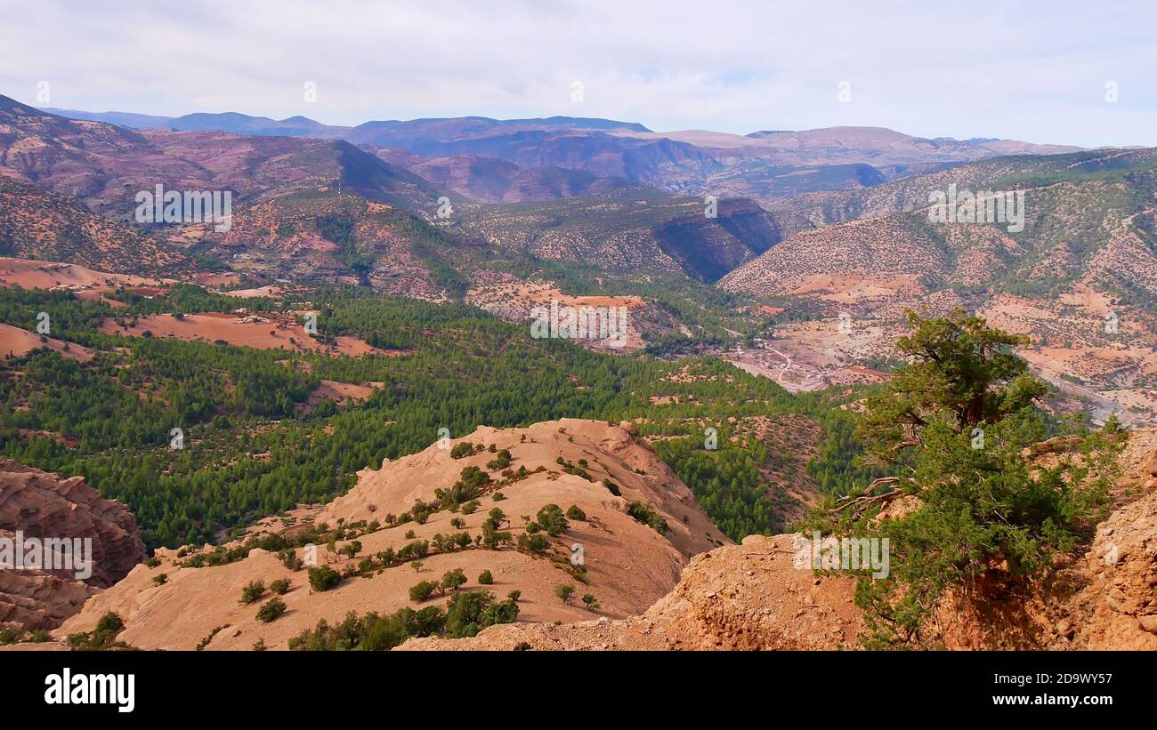 Vista panoramica delle colline ai piedi dei Monti Altas ricoperti di foreste di conifere dalla formazione rocciosa di picco cathedrale imsfrane vicino Tilouguite. Foto Stock