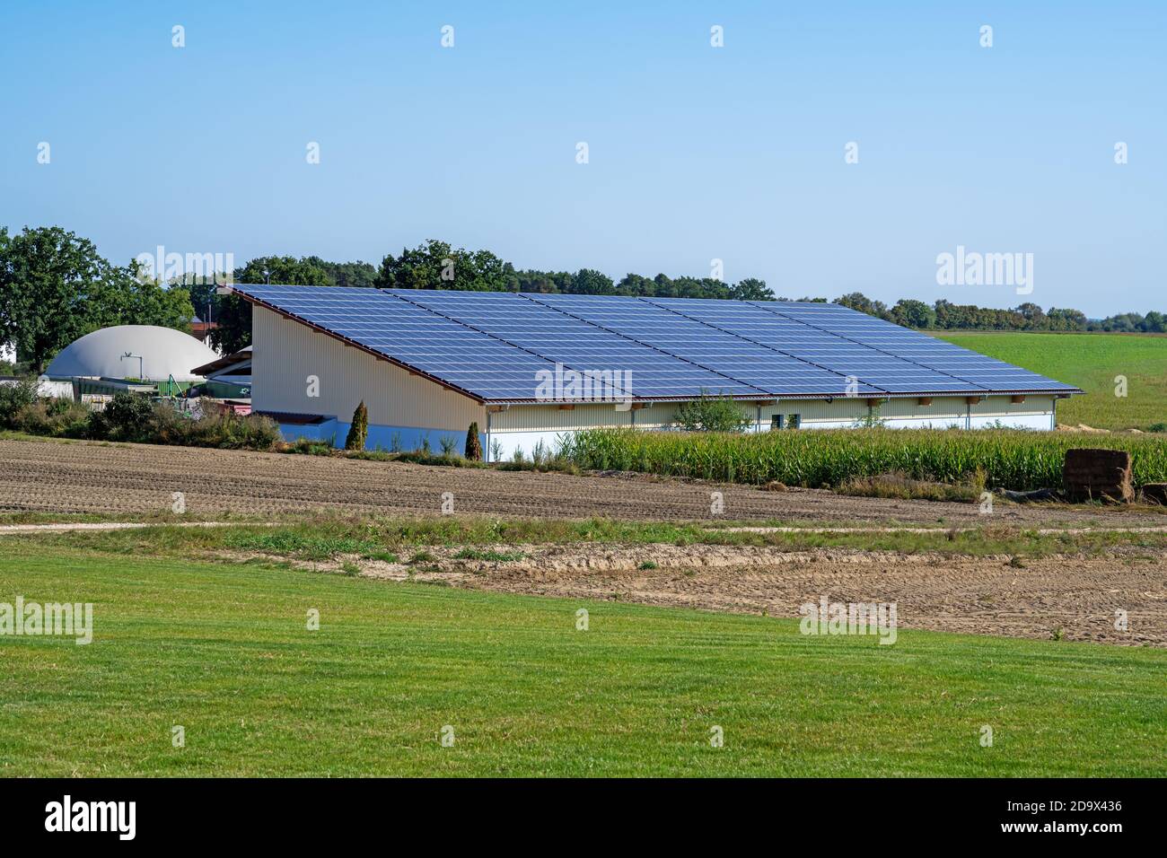 Energia Verde con collettori solari sul tetto di un edificio agricolo Foto Stock