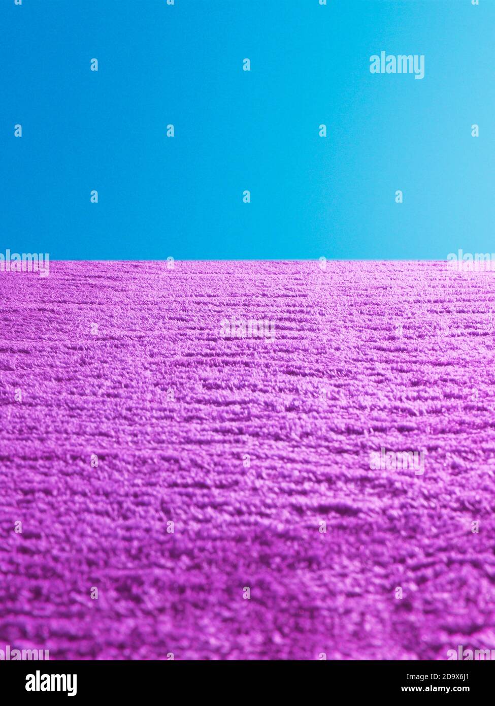 sfondo di moquette rosa, coperta, tappeto, verde con pelo morbido trama di moquette Foto Stock