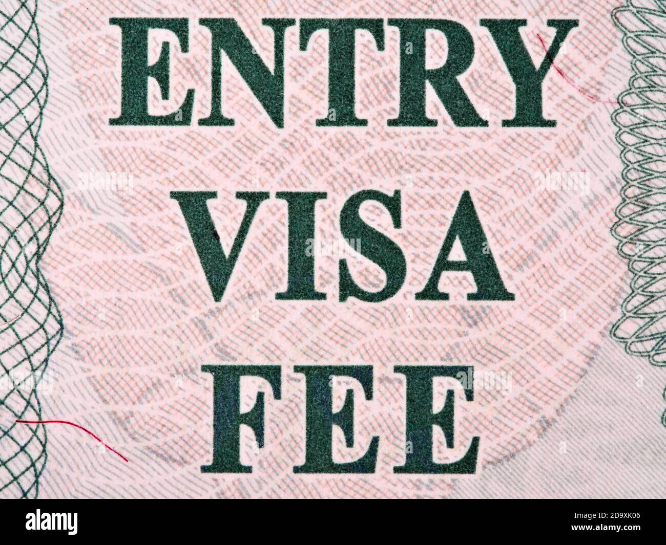 Egitto ingresso visto closeup macro, 2015 anni Foto Stock