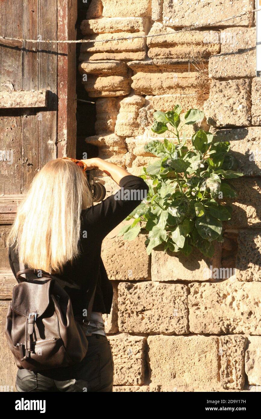 Fotografo in azione Foto Stock