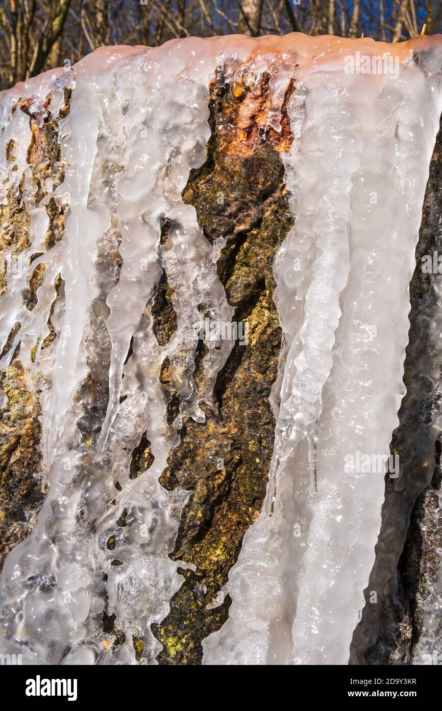 Modello di ghiaccio su un ceppo di albero Foto Stock