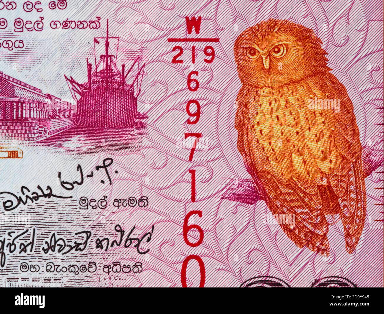 Sri Lanka valuta 20 rupie banconota macro, Serendib scops owl, serie 2010, Sri Lanka closeup di denaro Foto Stock