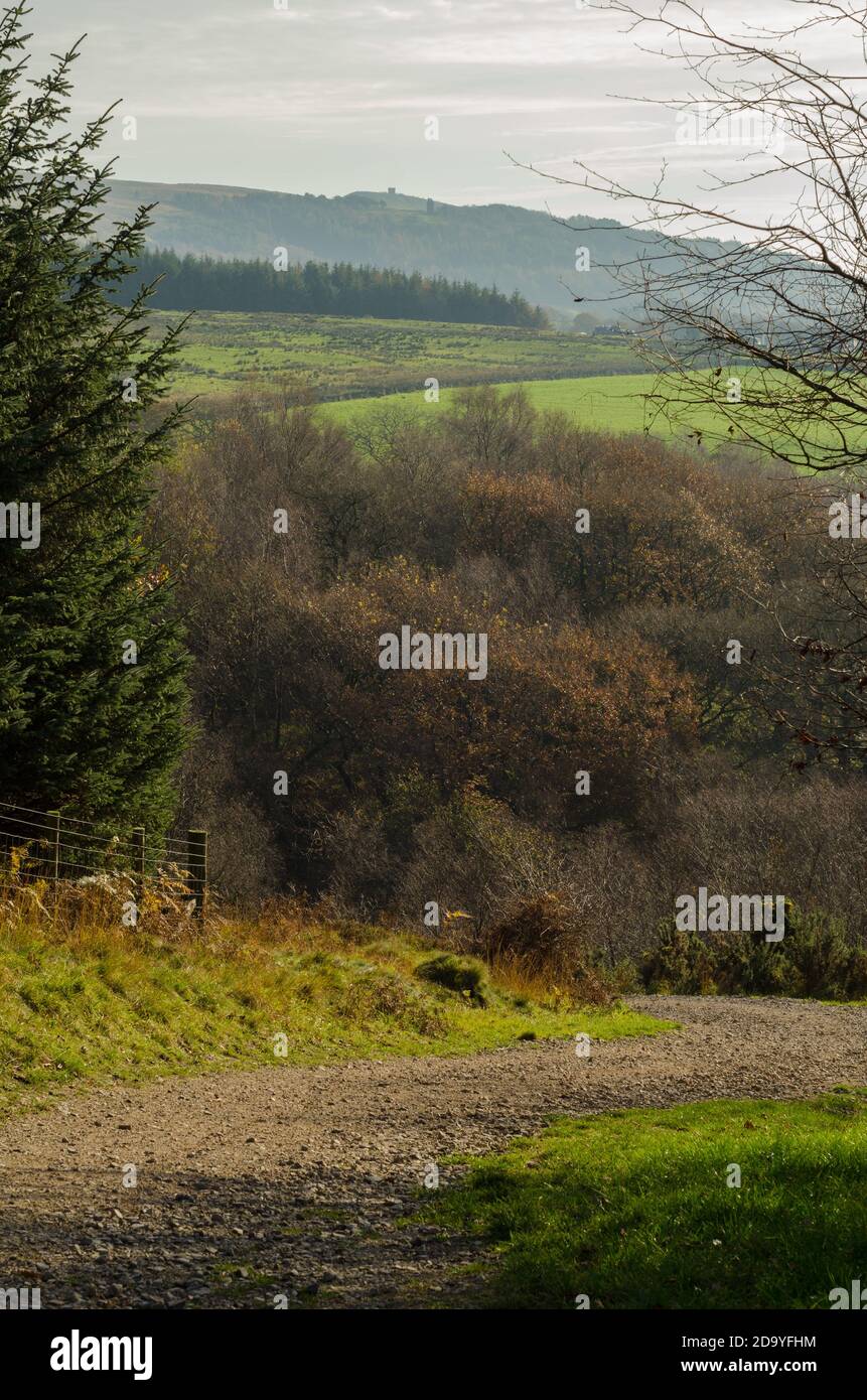 Percorso per Lead Mines Clough Autunno colori caduta con Rivington Pike e Pigeon Tower in lontananza Foto Stock