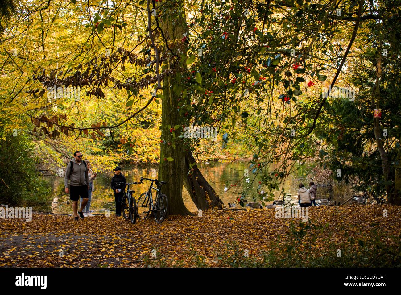 Alimentazione anatre nel parco. Foto Stock