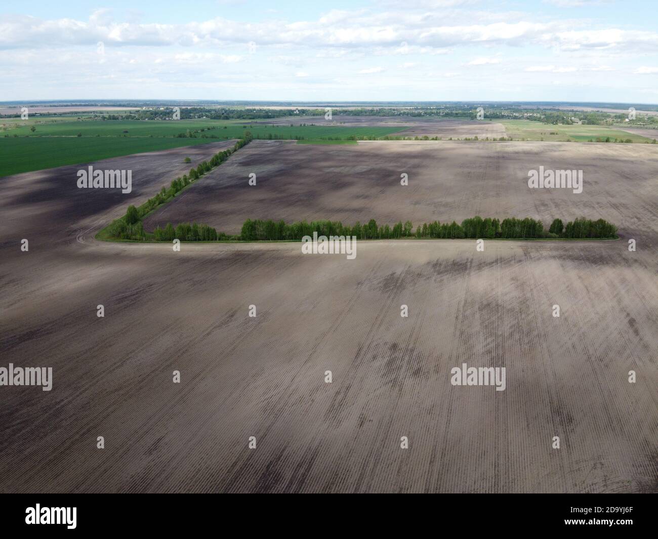 Alberi lungo un canale di irrigazione su un campo arato vista dall'alto. Terreni agricoli. Foto Stock Alberi lungo un canale di irrigazione su un campo arato vista dall'alto. Terreni agricoli. Foto Stock