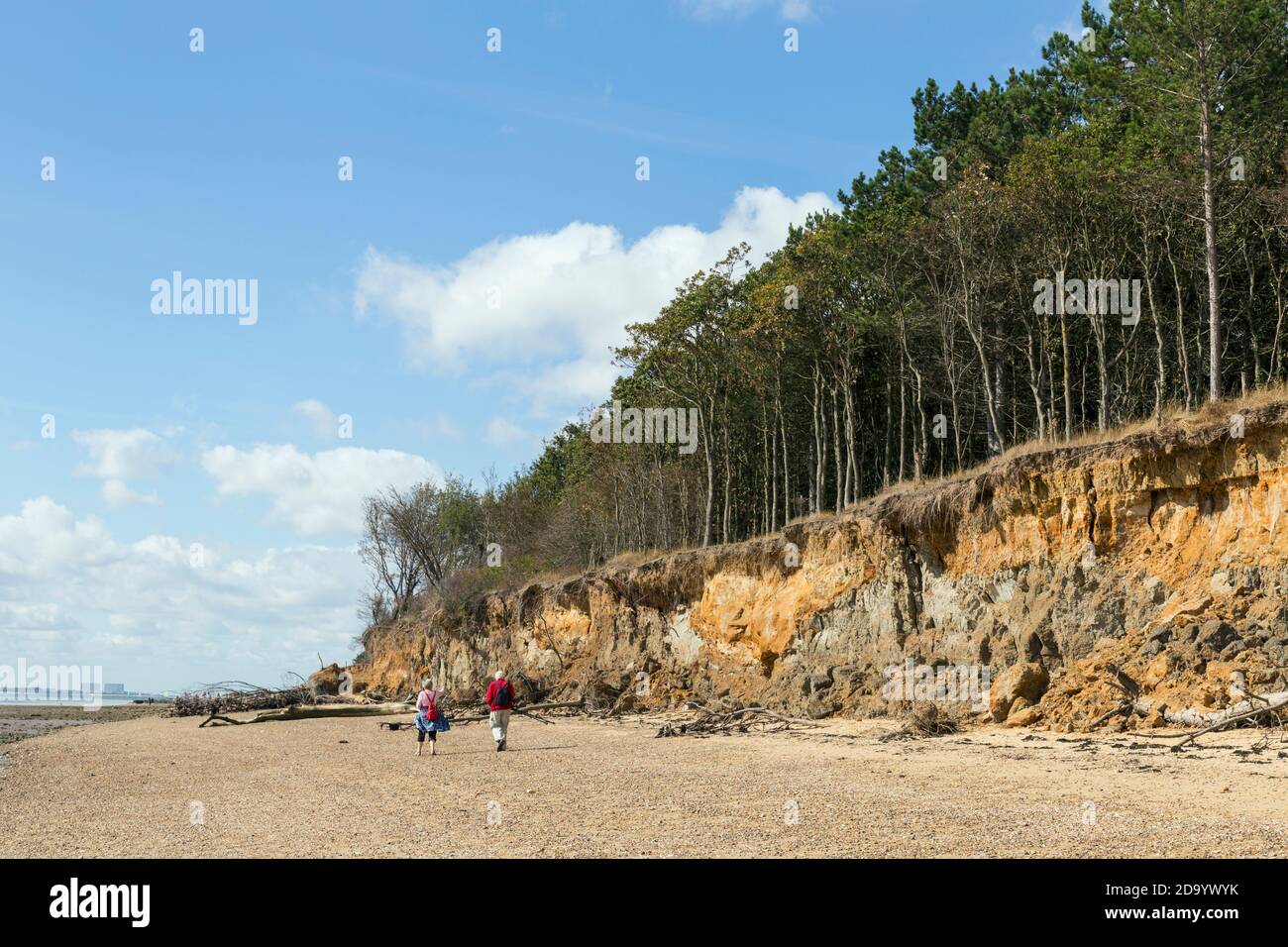 Erosione costiera da alti livelli del mare e tempeste Foto Stock