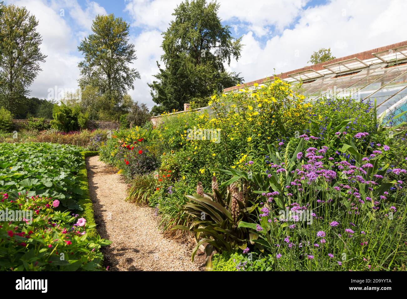 Giardino in piena fioritura Foto Stock