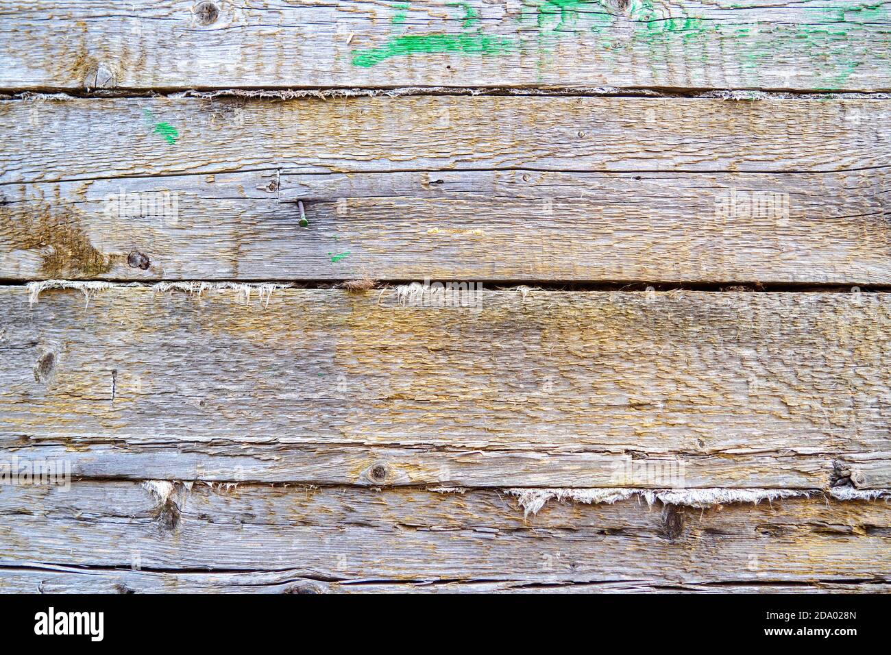 Chiodo in legno vecchio immagini e fotografie stock ad alta risoluzione -  Alamy