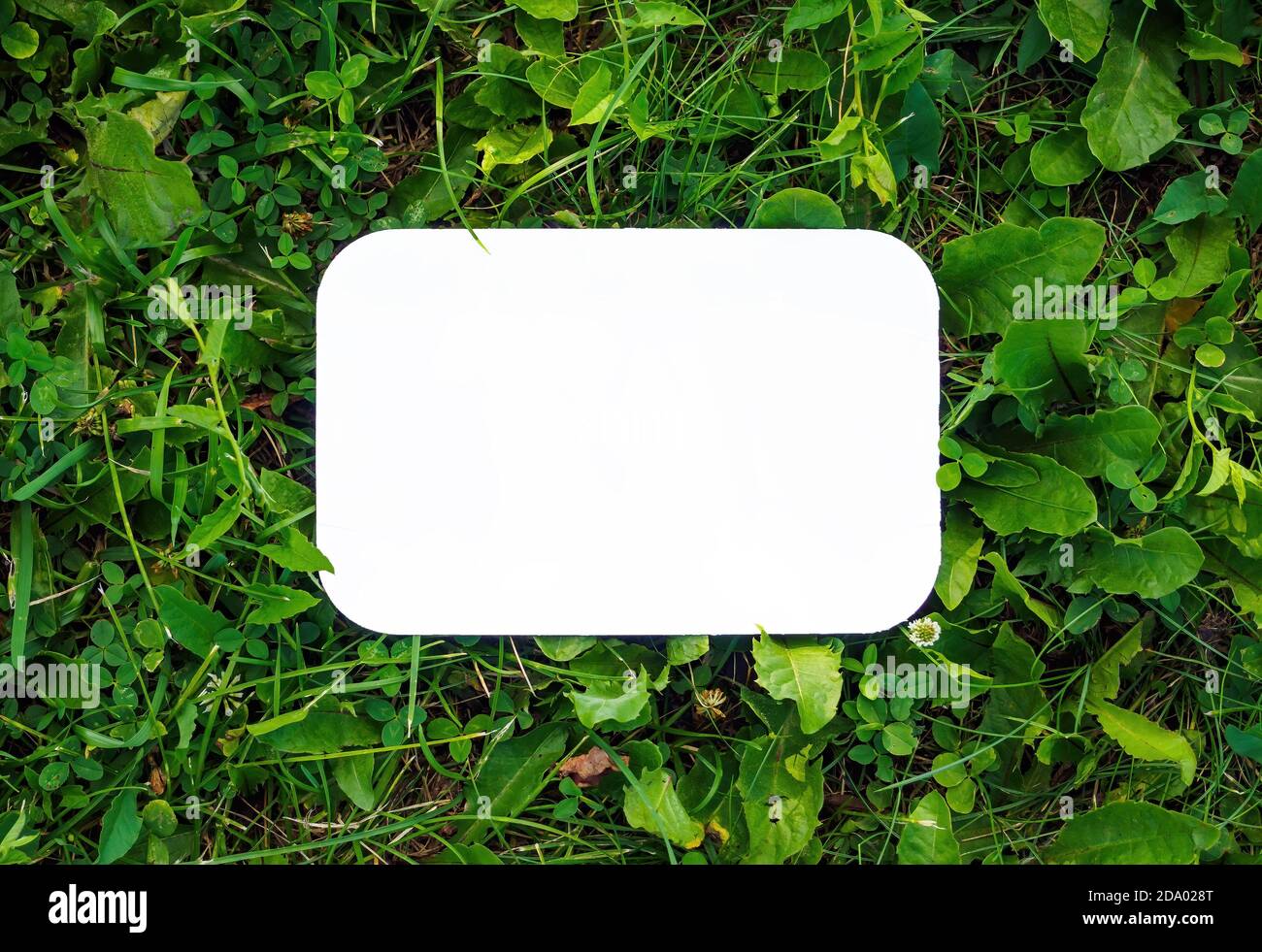 Vista dall'alto di cartone vuoto rettangolare su foglie verdi, mockup, spazio di copia. Concetto per zero rifiuti, riciclo ecologico Foto Stock