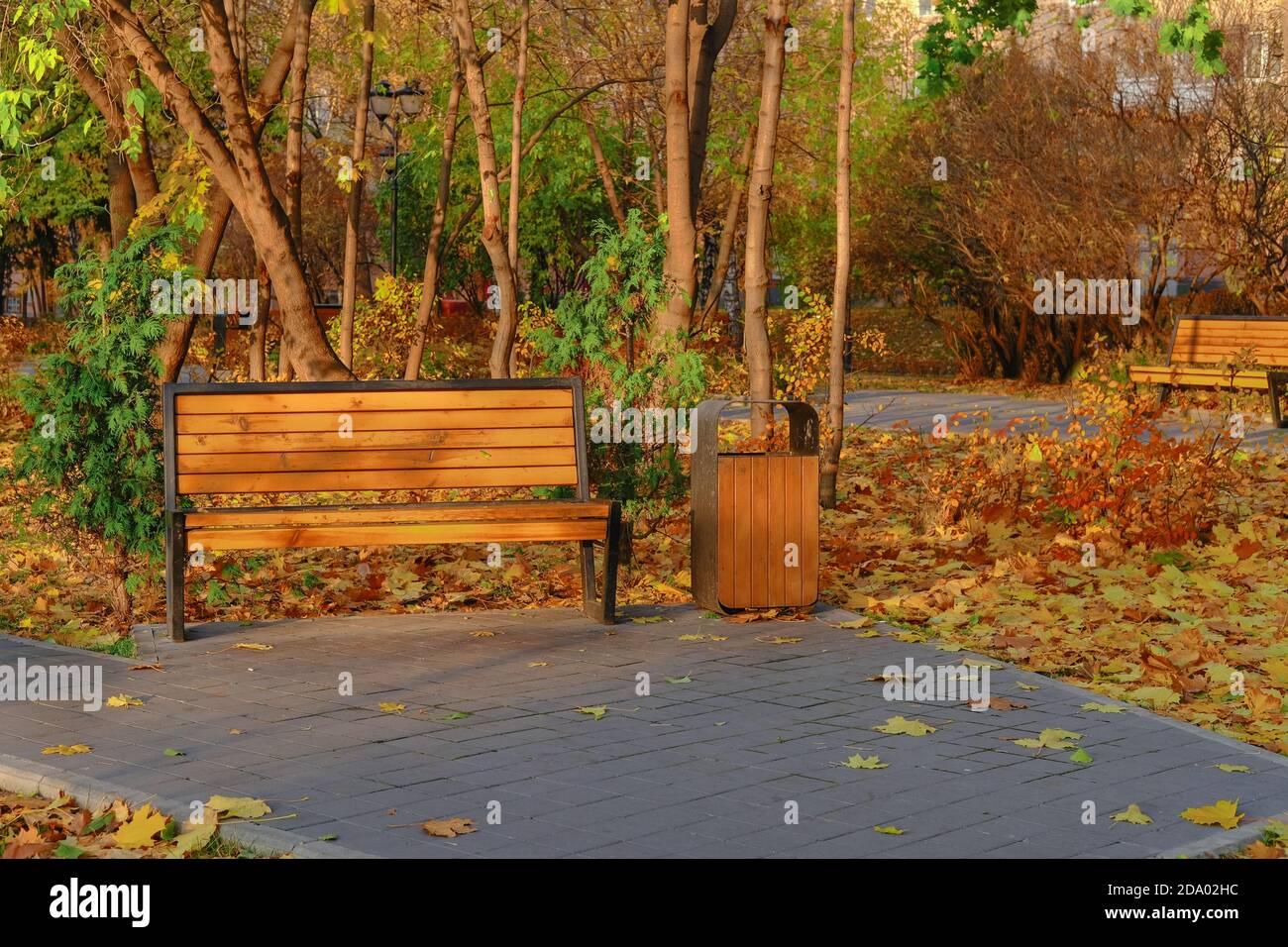 Mobili urbani moderni e robusti di legno duro. Panca vuota di legno e urna su sfondo luminoso autunno fogliame nel parco pubblico. Caduta delle foglie in città. Foto Stock