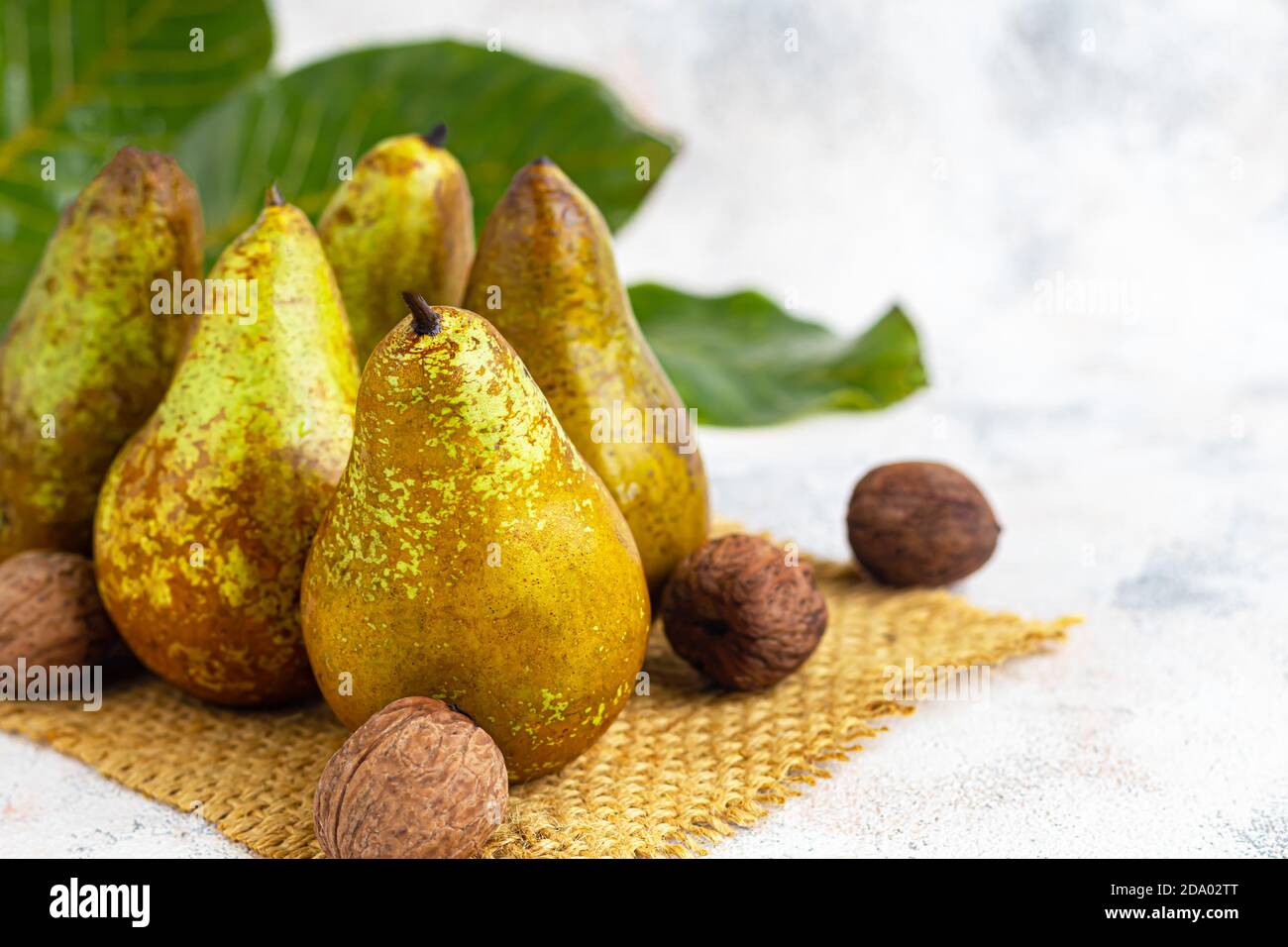 Pere su uno sfondo chiaro. Concetto autunnale. Nelle vicinanze si trovano patatine e noci di pera secca. Spazio di copia. Foto Stock
