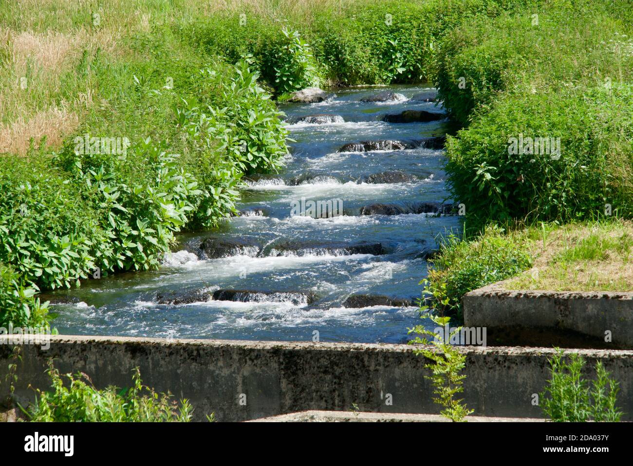 Acqua che scorre su scale tra piante verdi Foto Stock