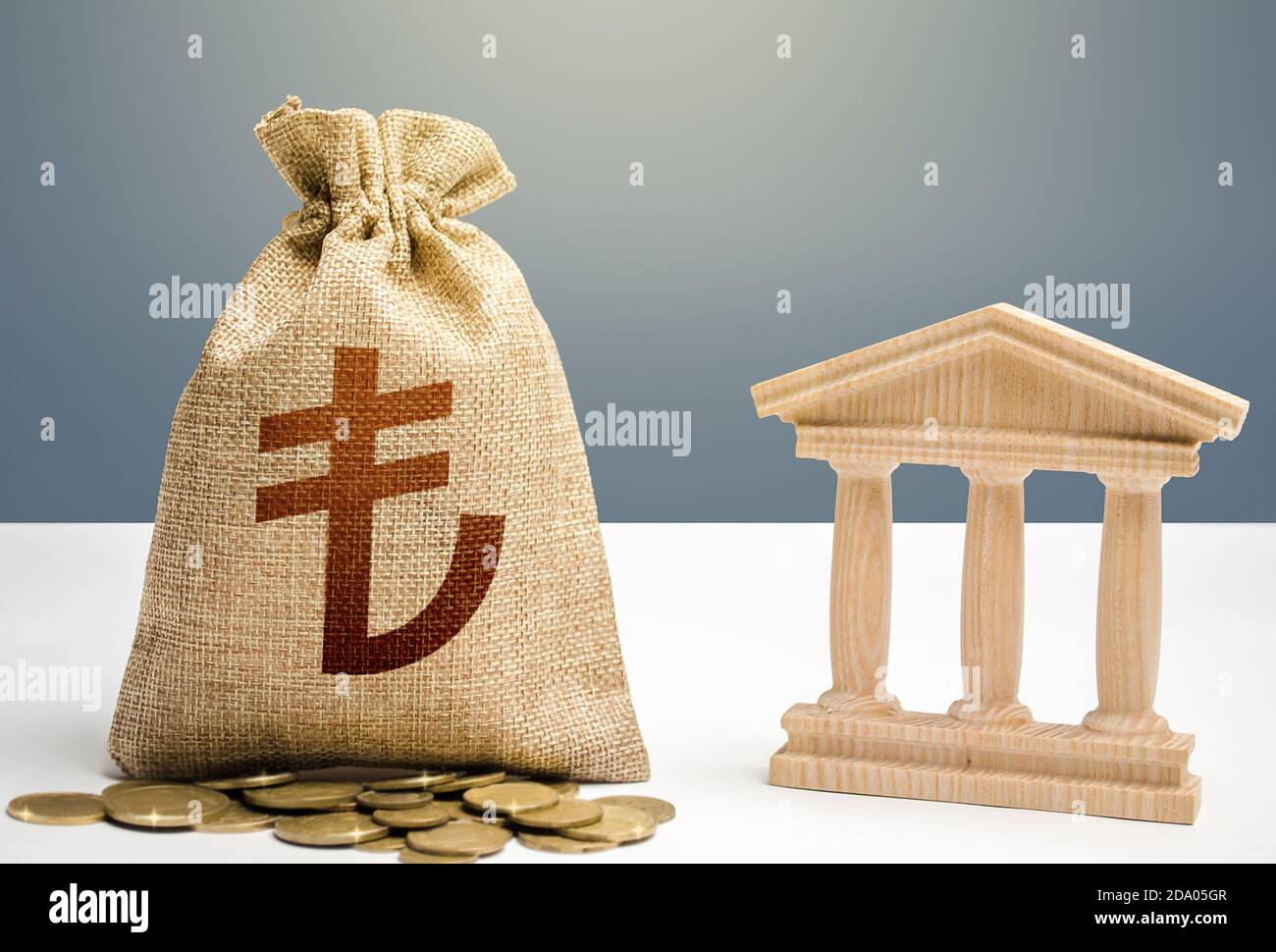 Borsa di denaro lira turca e edificio bancario/governativo. Bilancio, sistema finanziario nazionale. Politica monetaria. Allocazione delle risorse. Supportare le aziende Foto Stock