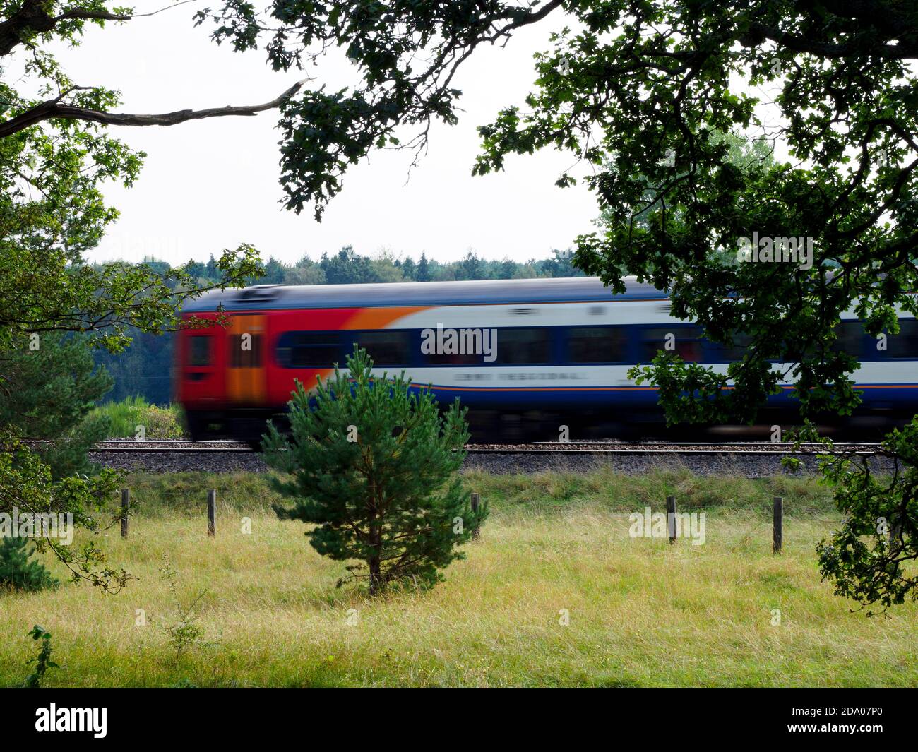 Treno che viaggia lungo una linea rurale, Norfolk, Regno Unito Foto Stock