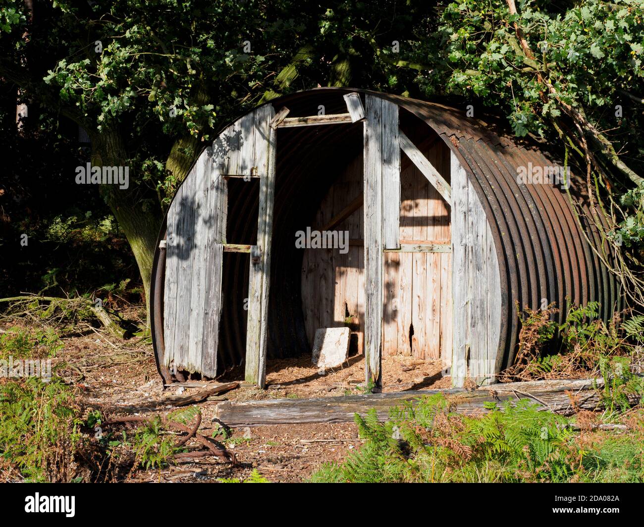 Rifugio rustico in ferro corrugato nei boschi, Thetford Forest, Norfolk, Regno Unito Foto Stock