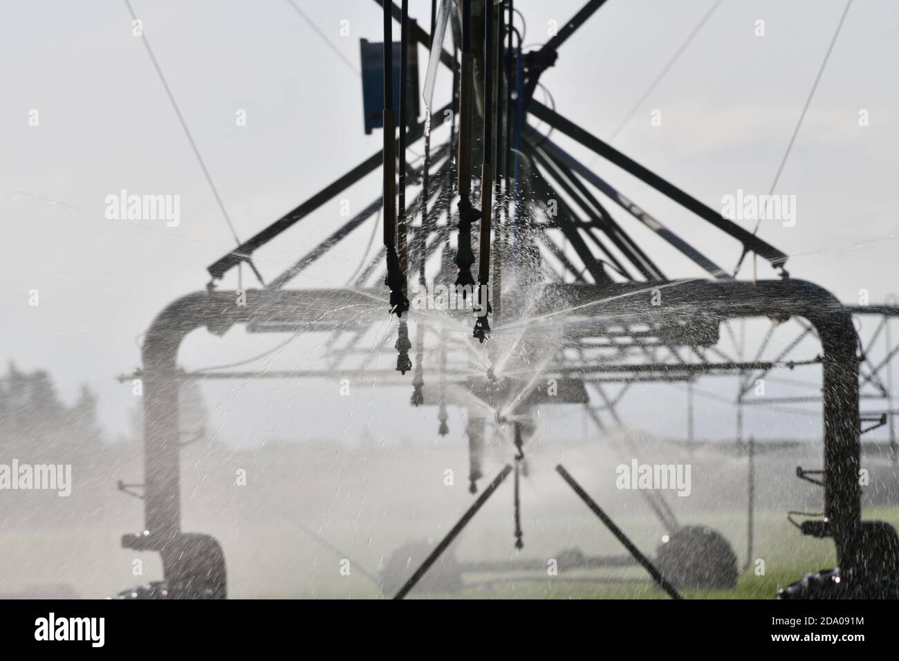 Irrigatori irrigazione pascolo caseario in acqua a Canterbury, Nuova Zelanda, dove l'approvvigionamento idrico è diventato un problema controverso Foto Stock